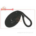 Adjustable Cord Nylon Rope Pet Leash P Choke Slip Leash For
